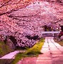 Image result for Ligája Jepang Drama Wallpapers