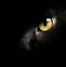 Image result for Cat Eyes Background