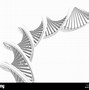 Image result for Double Helix Black and White