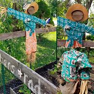 Image result for Garden Scarecrow Ideas