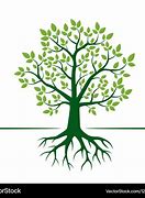 Image result for Green Tree C