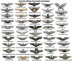 Image result for Us Air Force Wings