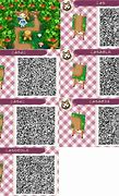 Image result for Animal Crossing New Leaf Items