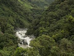 Image result for Tropical Andes