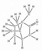 Image result for Camphor Chemical Structure