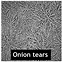 Image result for Dried Tears On Face