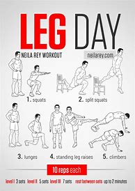 Image result for Leg Day Workout Routine