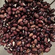 Image result for Sprouted Black Beans