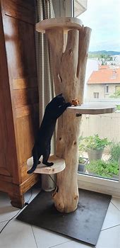 Image result for Wood Cat Tree