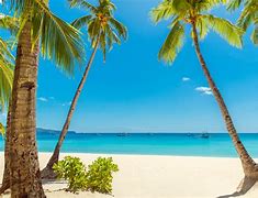 Image result for Boracay Island Tourists