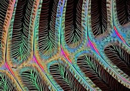 Image result for Microscopic Photography