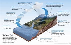 Image result for Groundwater Cycle