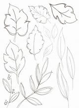 Image result for Draw Leaf