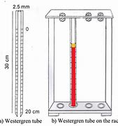 Image result for ESR Stand for Lab