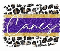 Image result for Cartersville Purple Hurricanes Football