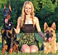 Image result for German Shepherd Mixed Breeds