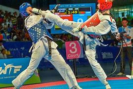 Image result for Taekwondo Olympics