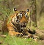 Image result for Sariska Wildlife Sanctuary Map