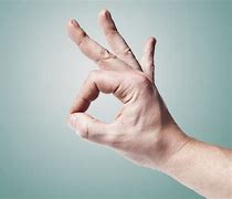 Image result for Togakure Hand Signs