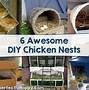 Image result for DIY Chicken Shelter