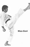 Image result for Front Kick by Mea Geri