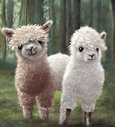 Image result for Cute Fluffy Baby Alpacas