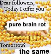 Image result for Brain Rot MI Side