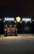 Image result for Fighting Lions Antonia Ferrante Gym