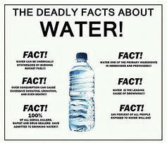 Image result for Funny Drink More Water