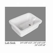 Image result for What Is a Lab Sink