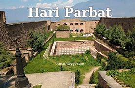 Image result for Hari Plant