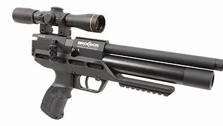 Image result for PCP Sniper Rifle