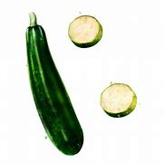 Image result for Zucchine Verdi PNG