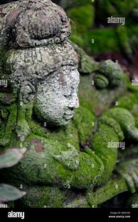 Image result for Moss-Covered Statue