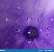 Image result for Purple Fine China