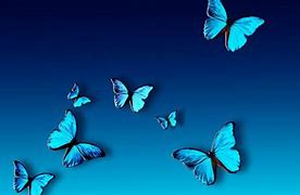 Image result for Butterfly Wallpaper Blue Desktop Computer