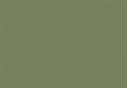 Image result for Dark Skin Sage Green