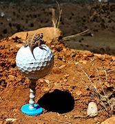 Image result for Reusable Golf Tees