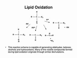 Image result for Lipid Oxidation