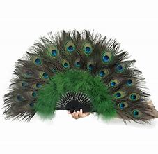 Image result for Peacock Feather Fan