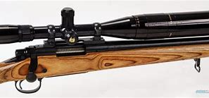 Image result for 22 250 Rifle Remington 700