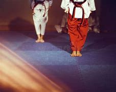 Image result for Taekwondo Feet