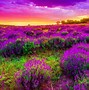 Image result for Think Spring Screensavers