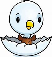 Image result for Baby Eagle Clip Art