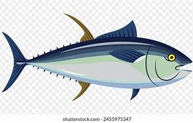 Image result for Fish Drawing Clip Art