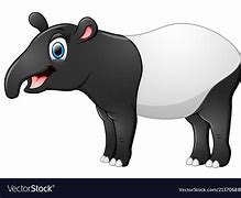 Image result for Tapir Vector