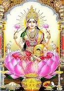 Image result for Lakshmi Flowers