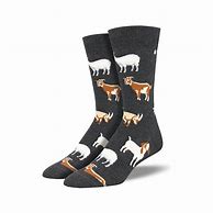 Image result for Men's Silly Socks