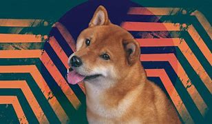 Image result for Renagade Doge