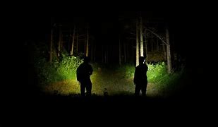 Image result for White Light Flashlight